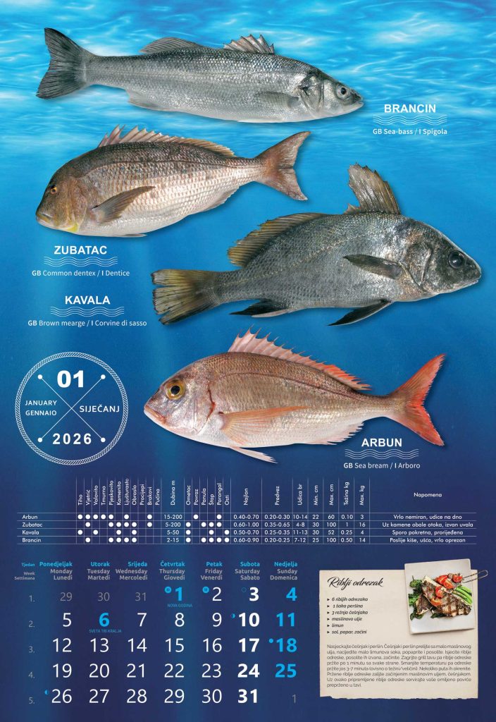 GT GRUPA - Novogodišnji program