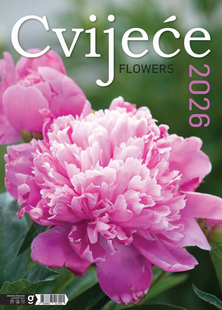 GT GRUPA - Novogodišnji program