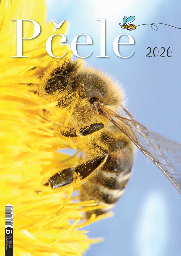 GT GRUPA - Novogodišnji program